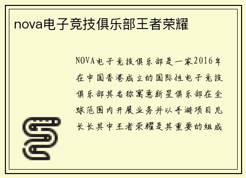 nova电子竞技俱乐部王者荣耀