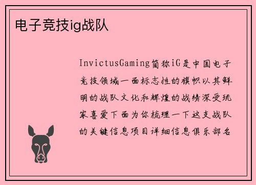 电子竞技ig战队